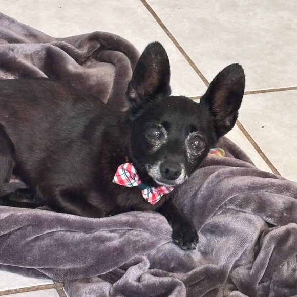 HANDMADE SHARE SHOW. DO NOT BID - Picture 13 of 14